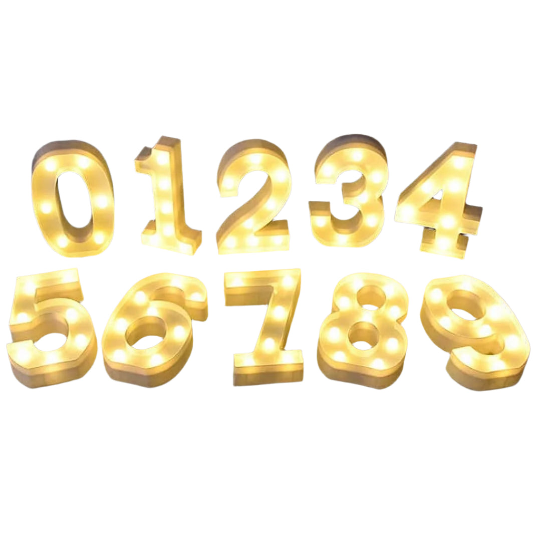 LED Light Numbers