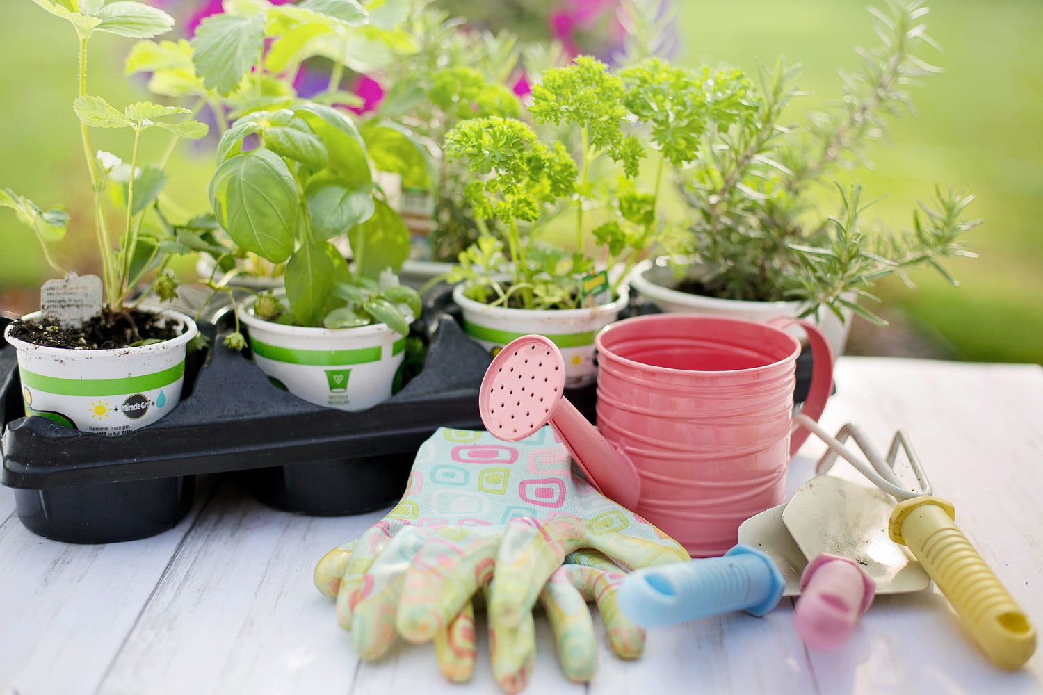 Gardening