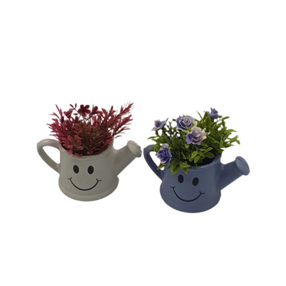 Smiley Pot Plant