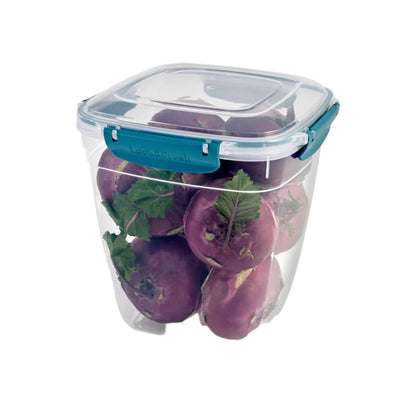 Food Container - 100% Airtight