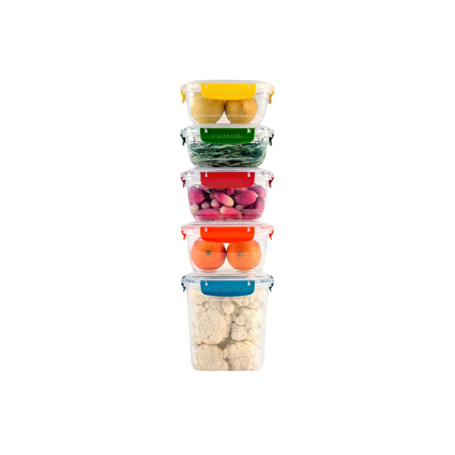 Container - 5 Piece Set