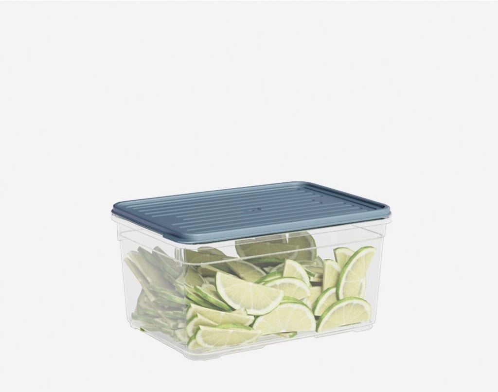 Plastic Containers 2100 ml