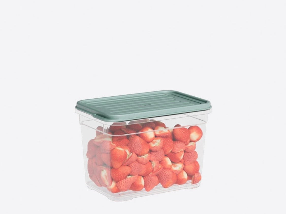 Container 950 ML