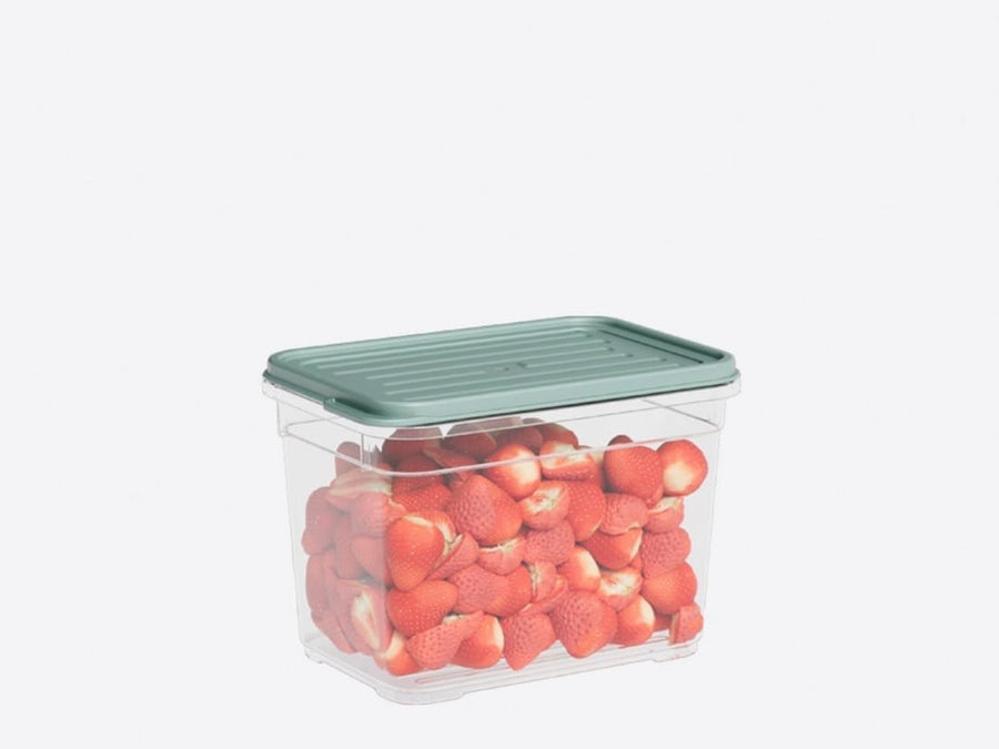 Container 950 ML