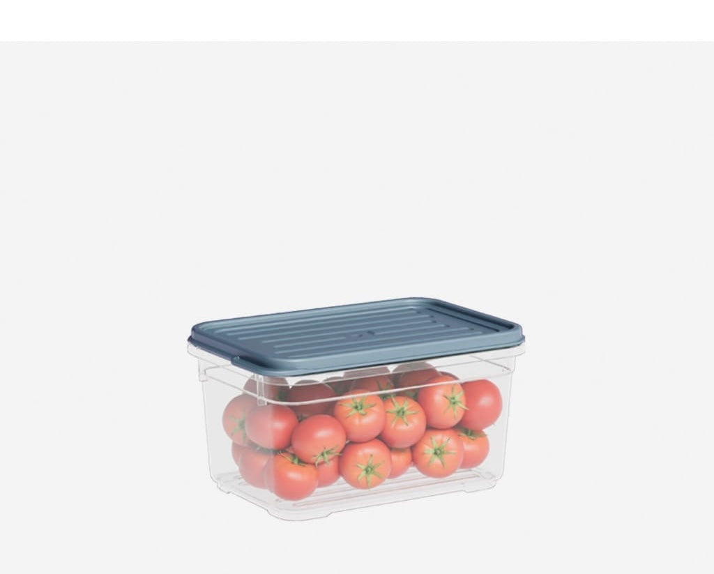 Container 700 ml
